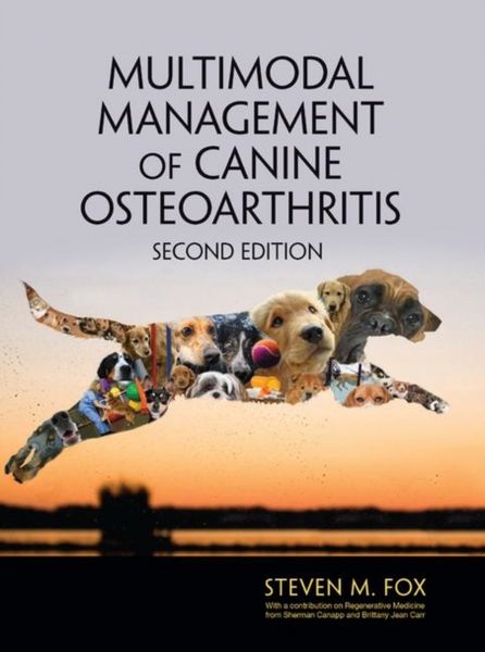 Produktbild: Multimodal Management of Canine Osteoarthritis