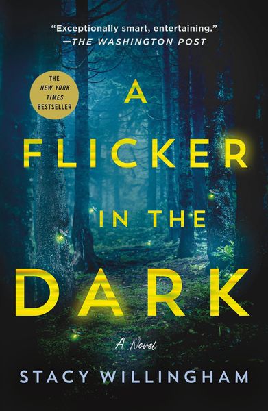 A Flicker in the Dark alternative edition cover