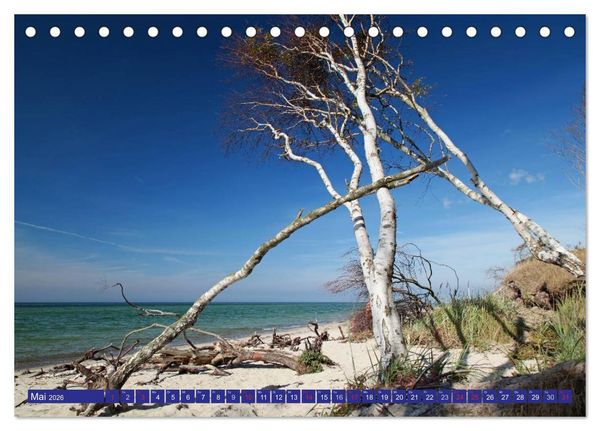 Produktbild: Weststrand Dar&szlig; (Tischkalender 2026 DIN A5 quer), CALVENDO Monatskalender