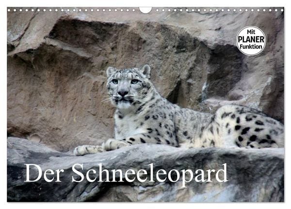 Produktbild: Der Schneeleopard (Wandkalender 2026 DIN A3 quer), CALVENDO Monatskalender