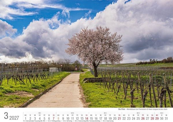 Produktbild: Die Pfalz 2027 Bildkalender A4 quer, spiralgebunden