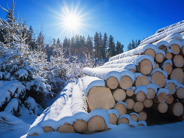 Produktbild: CALVENDO Puzzle Winterwald 1000 Teile Lege-Gr&ouml;&szlig;e 64 x 48 cm Foto-Puzzle Bild von SusaZoom