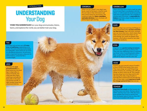 Produktbild: Fetch! a How to Speak Dog Training Guide