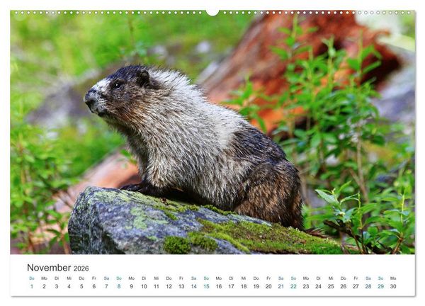 Produktbild: Icefields Parkway in Kanada (hochwertiger Premium Wandkalender 2026 DIN A2 quer), Kunstdruck in Hochglanz