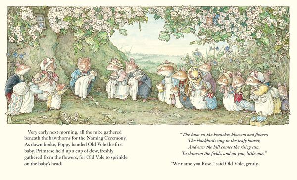 Produktbild: Adventures in Brambly Hedge
