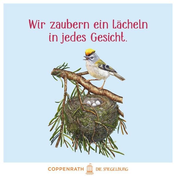 Produktbild: Das gro&szlig;e Buch vom Tannenbaum