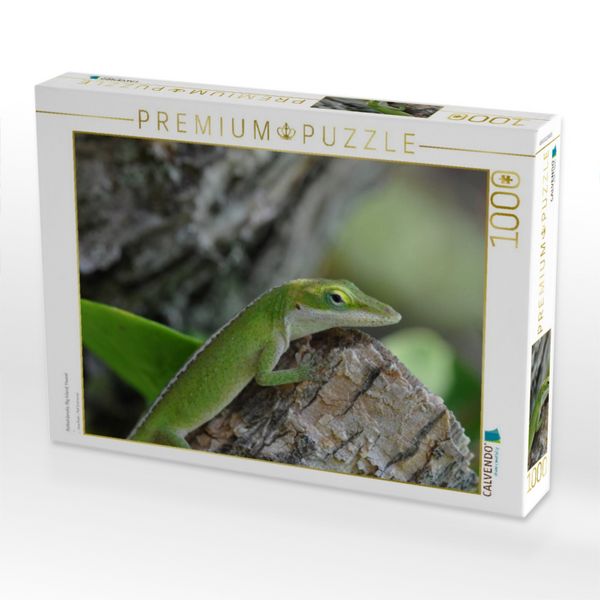 Produktbild: CALVENDO Puzzle Rotkehlanolis, Big Island, Hawaii | 1000 Teile Lege-Gr&ouml;&szlig;e 64x48cm Foto-Puzzle f&uuml;r gl&uuml;ckliche Stunden