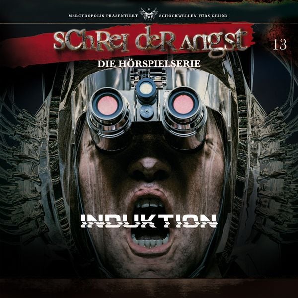 Produktbild: Folge 13 - Induktion