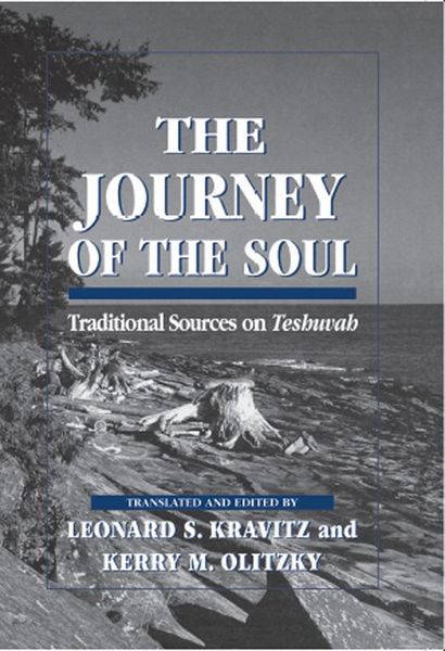 Produktbild: The Journey of the Soul