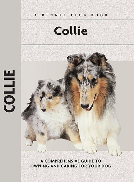 Produktbild: Collie