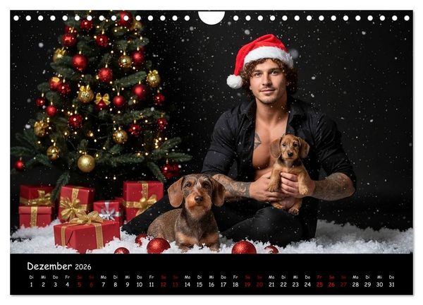 Produktbild: Coole Typen - Rauhaardackel (Wandkalender 2026 DIN A4 quer), CALVENDO Monatskalender