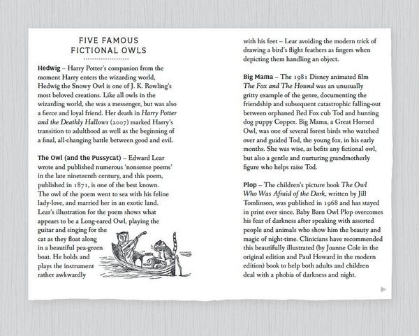 Produktbild: RSPB Pocket Book of Owls