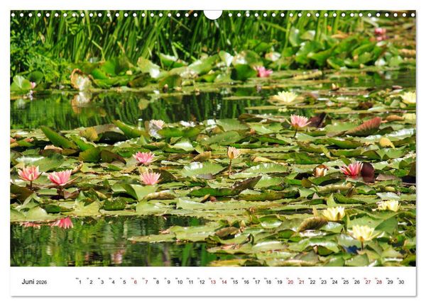 Produktbild: Normandie - zwischen Land und Meer (Wandkalender 2026 DIN A3 quer), CALVENDO Monatskalender
