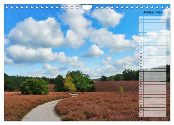 Produktbild: Heidespaziergang (Wandkalender 2026 DIN A4 quer), CALVENDO Monatskalender