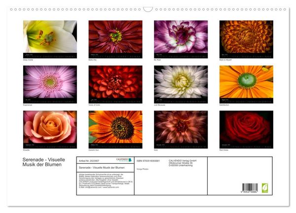 Produktbild: Serenade - Visuelle Musik der Blumen (Wandkalender 2026 DIN A2 quer), CALVENDO Monatskalender