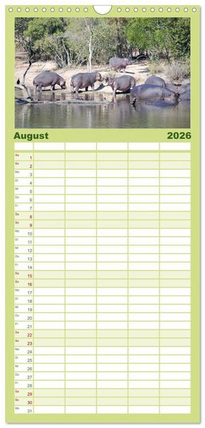 Produktbild: Familienplaner 2026 - Nilpferde, Kolosse im Wasser mit 5 Spalten (Wandkalender, 21 x 45 cm) CALVENDO