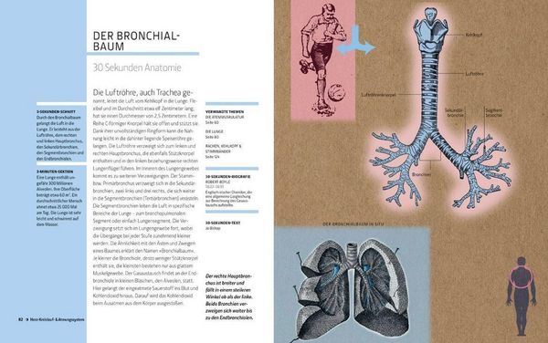 Produktbild: Anatomie und Medizin in 30 Sekunden
