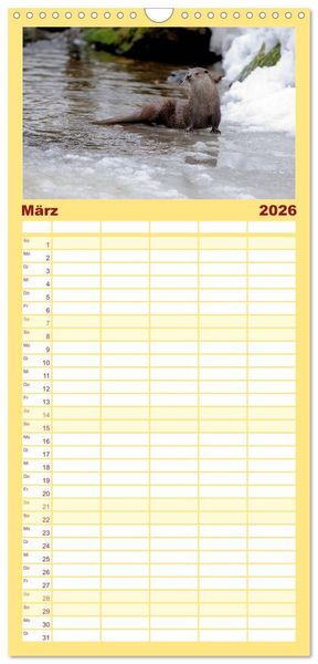 Produktbild: Familienplaner 2026 - Fischotter, flinke J&auml;ger mit 5 Spalten (Wandkalender, 21 x 45 cm) CALVENDO