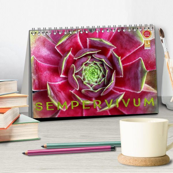 Produktbild: Sempervivum - Hauswurz (Tischkalender 2026 DIN A5 quer), CALVENDO Monatskalender