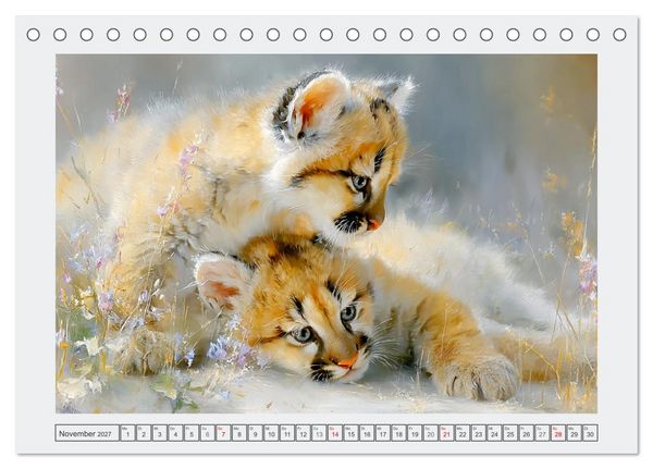 Produktbild: Pumababys. Verspielte Bergl&ouml;wenkinder in der Natur (Tischkalender 2027 DIN A5 quer), CALVENDO Monatskalender