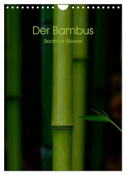 Produktbild: Der Bambus (Wandkalender 2026 DIN A4 hoch), CALVENDO Monatskalender