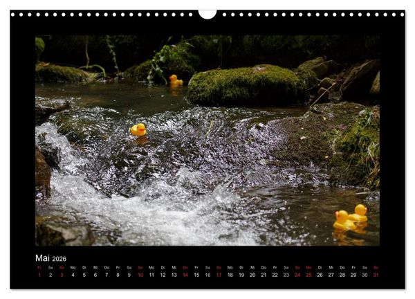 Produktbild: Enten-Rennen (Wandkalender 2026 DIN A3 quer), CALVENDO Monatskalender