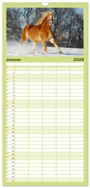 Produktbild: Familienplaner 2026 - Welt der Pferde mit 5 Spalten (Wandkalender, 21 x 45 cm) CALVENDO