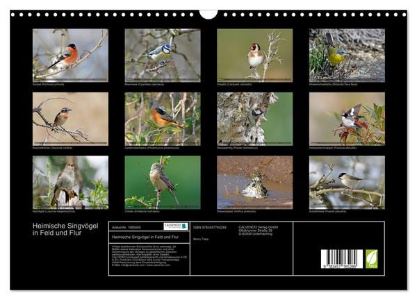 Produktbild: Heimische Singv&ouml;gel in Feld und Flur (Wandkalender 2026 DIN A3 quer), CALVENDO Monatskalender