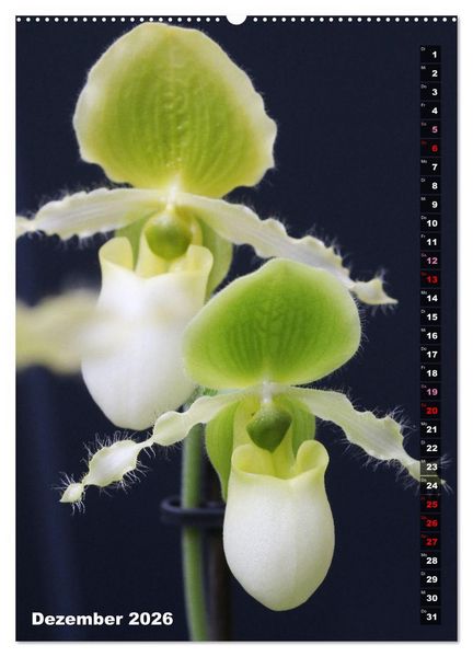Produktbild: Freude an Orchideen (hochwertiger Premium Wandkalender 2026 DIN A2 hoch), Kunstdruck in Hochglanz