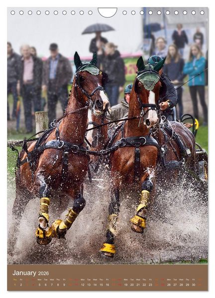 Produktbild: Carriage Driving - Horses in Action (Wall Calendar 2026 DIN A4 portrait), CALVENDO 12 Month Wall Calendar