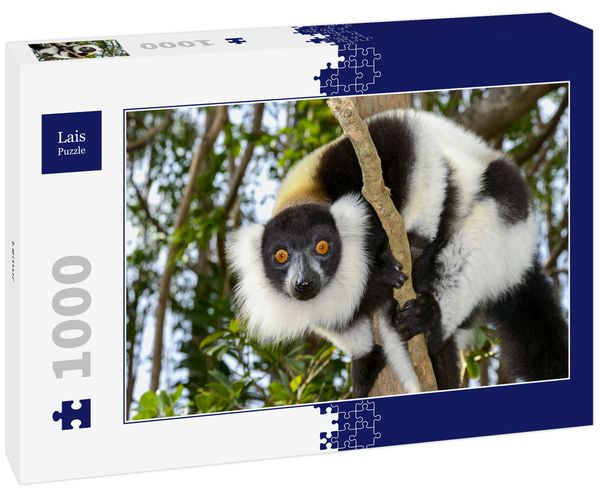 Produktbild: Lais Puzzle Lemur 1000 Teile