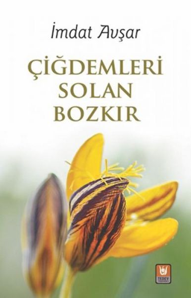 Produktbild: Cigdemleri Solan Bozkir