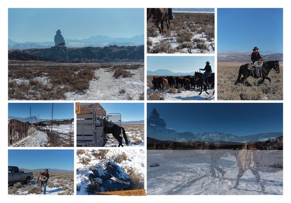 Produktbild: Aus dem Tagebuch einer Fotografin