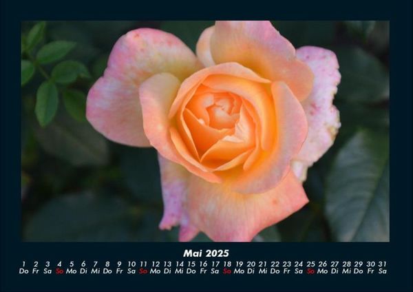 Produktbild: Blumenkalender 2025 Fotokalender DIN A4