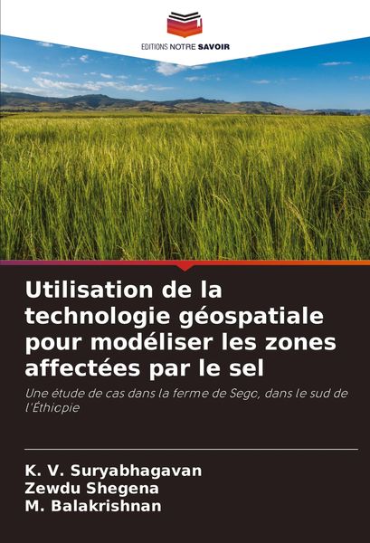 Produktbild: Utilisation de la technologie g&eacute;ospatiale pour mod&eacute;liser les zones affect&eacute;es par le sel