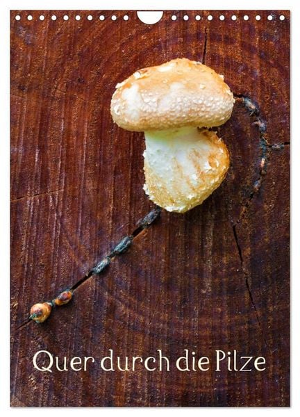 Produktbild: Quer durch die Pilze (Wandkalender 2027 DIN A4 hoch), CALVENDO Monatskalender