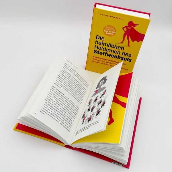 Produktbild: Die heimlichen Heldinnen des Stoffwechsels