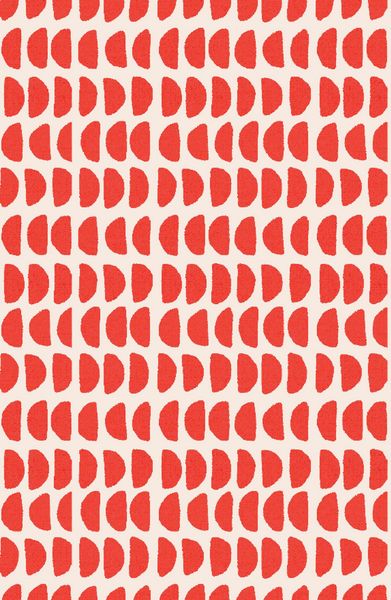 Produktbild: Notizbuch Insel-B&uuml;cherei &raquo;Korallenrote Halbkreise retro&laquo;