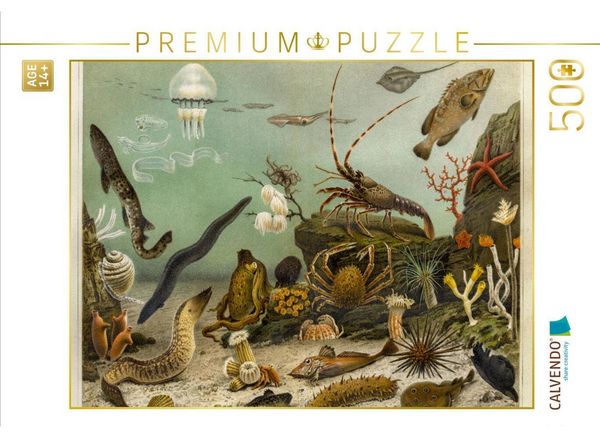 CALVENDO Puzzle Seewasser-Aquarium, Künstler: Adolf Giltsch (1852-1911) Jena | 500 Teile Lege-Größe 48 × 36 cm Foto-Puzzle für Erwachsene