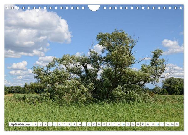 Produktbild: Ein Sommer im Havelland - Spaziergang entlang am Havelradweg (Wandkalender 2026 DIN A4 quer), CALVENDO Monatskalender