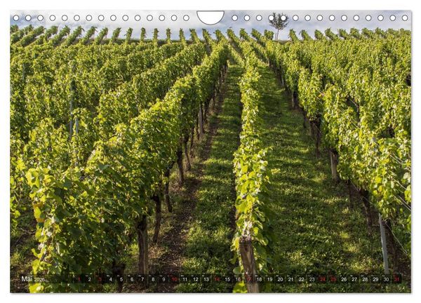 Produktbild: Weinlagen in Franken (Wandkalender 2026 DIN A4 quer), CALVENDO Monatskalender