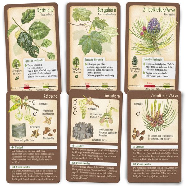 Produktbild: Tour durch die Natur - 50 unserer heimischen B&auml;ume