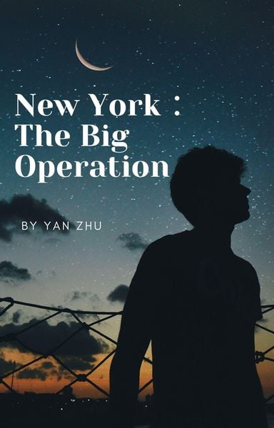 Produktbild: New York : The Big Operation (Special Operations, #1)