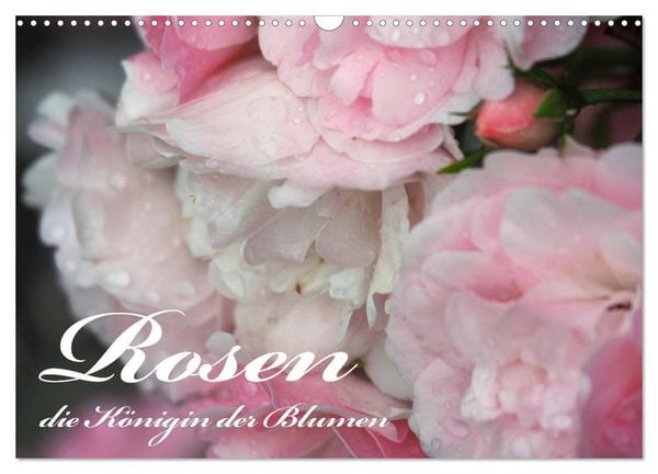 Rosen, die Königin der Blumen (Wandkalender 2026 DIN A3 quer), CALVENDO Monatskalender