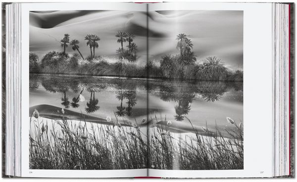 Produktbild: Sebasti&atilde;o Salgado
