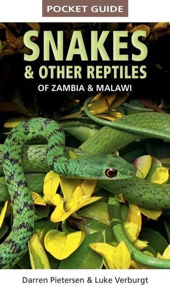 Produktbild: Pocket Guide to Snakes & Other Reptiles of Zambia and Malawi