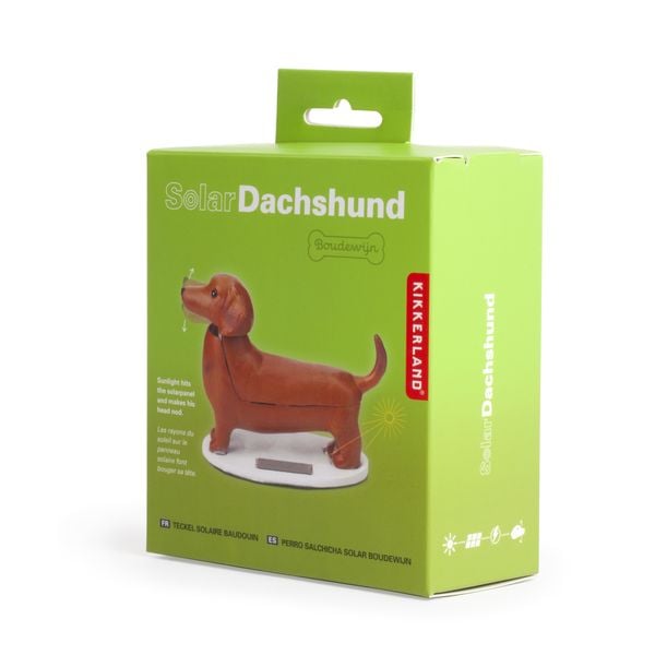 Solar Dashund - Boudewijn