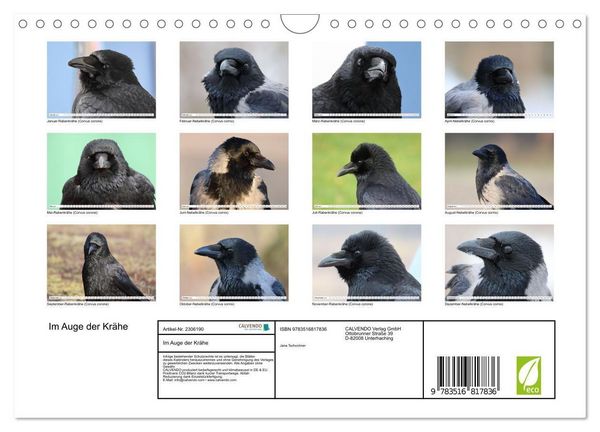 Produktbild: Im Auge der Kr&auml;he (Wandkalender 2027 DIN A4 quer), CALVENDO Monatskalender