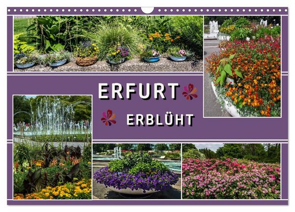 Produktbild: Erfurt erbl&uuml;ht (Wandkalender 2027 DIN A3 quer), CALVENDO Monatskalender