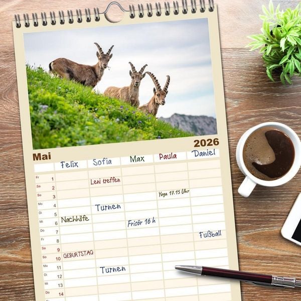 Produktbild: Familienplaner 2026 - Steinb&ouml;cke - Eindr&uuml;ckliche K&ouml;nige der Alpen mit 5 Spalten (Wandkalender, 21 x 45 cm) CALVENDO